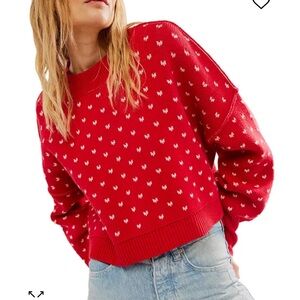 NWT Free People sweater.  Brand new in size Medium
